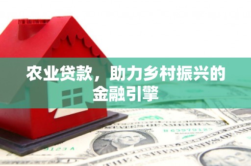 利辛农业贷款，助力乡村振兴的金融引擎