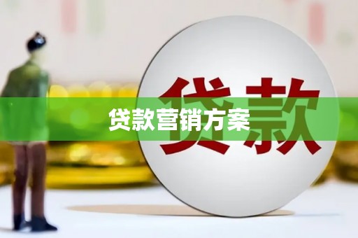 利辛贷款营销方案