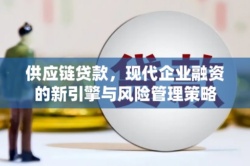 利辛供应链贷款，现代企业融资的新引擎与风险管理策略
