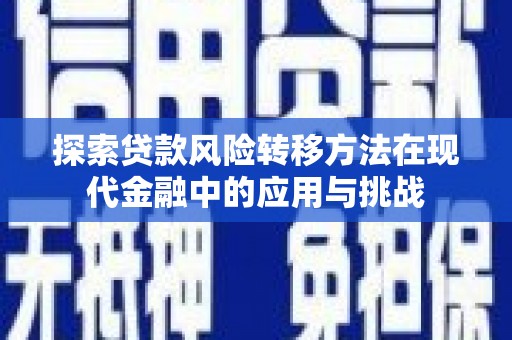 利辛探索贷款风险转移方法在现代金融中的应用与挑战