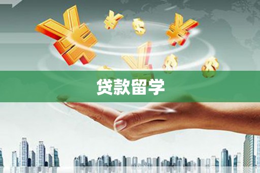 利辛贷款留学