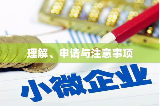 利辛理解、申请与注意事项