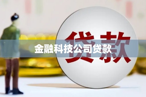 利辛金融科技公司贷款
