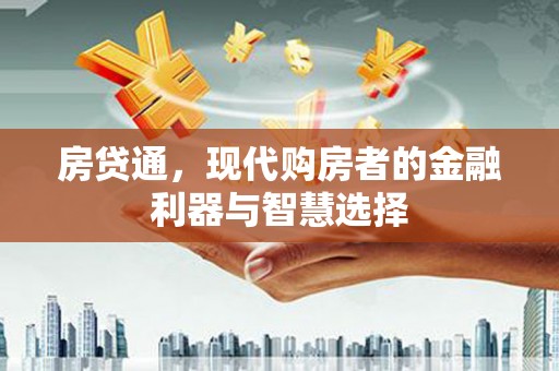 利辛房贷通，现代购房者的金融利器与智慧选择