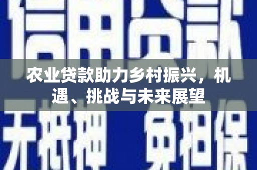 利辛农业贷款助力乡村振兴，机遇、挑战与未来展望
