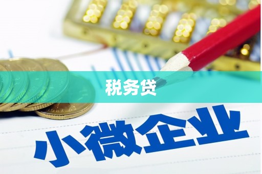 利辛税务贷