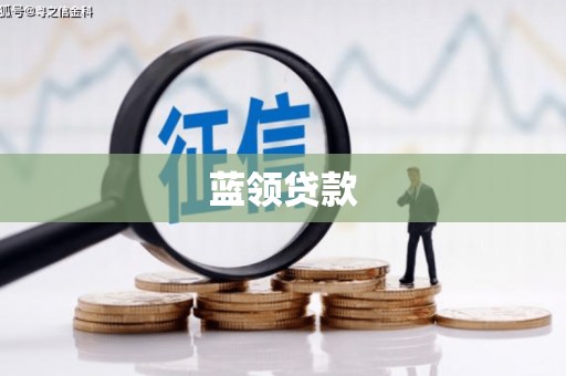 利辛蓝领贷款