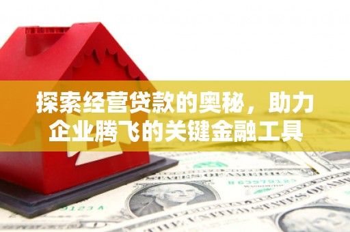 利辛探索经营贷款的奥秘，助力企业腾飞的关键金融工具