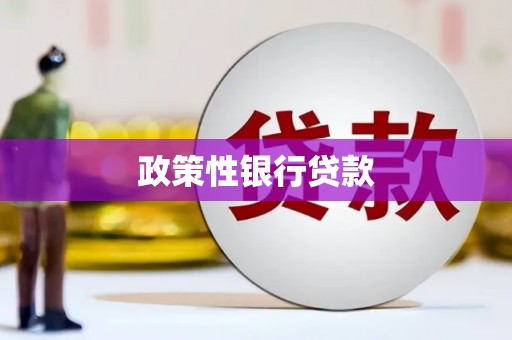 利辛政策性银行贷款