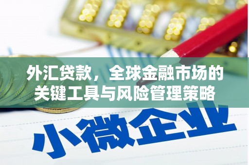 利辛外汇贷款，全球金融市场的关键工具与风险管理策略