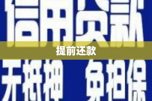 利辛提前还款