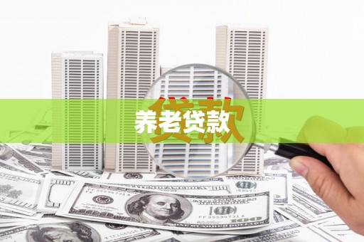 利辛养老贷款