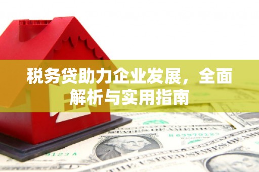 利辛税务贷助力企业发展，全面解析与实用指南