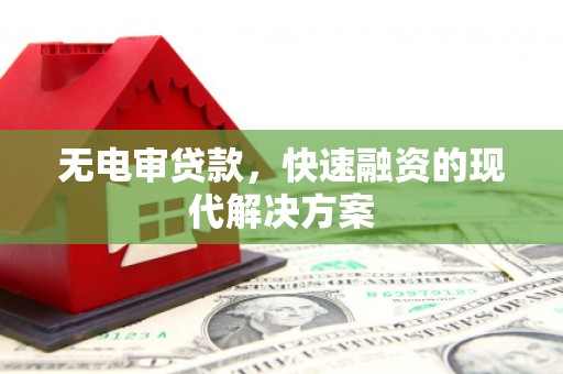 利辛无电审贷款，快速融资的现代解决方案