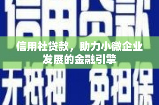 利辛信用社贷款，助力小微企业发展的金融引擎