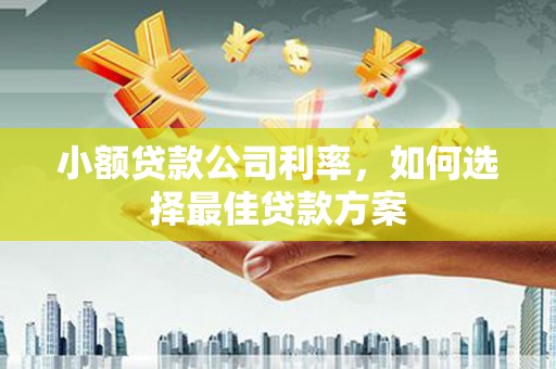利辛小额贷款公司利率，如何选择最佳贷款方案