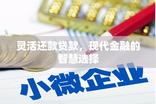 利辛灵活还款贷款，现代金融的智慧选择