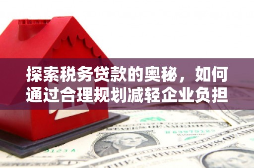 利辛探索税务贷款的奥秘，如何通过合理规划减轻企业负担