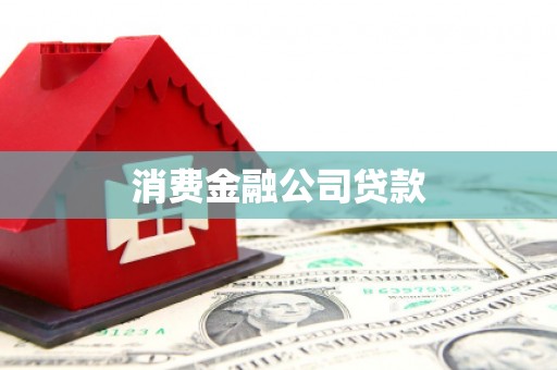 利辛消费金融公司贷款
