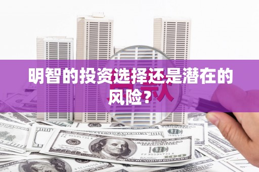 利辛明智的投资选择还是潜在的风险？