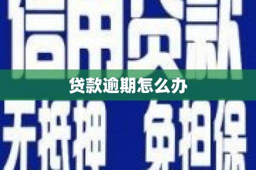 利辛贷款逾期怎么办