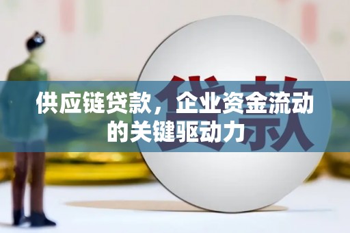 利辛供应链贷款，企业资金流动的关键驱动力