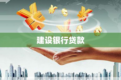 利辛建设银行贷款