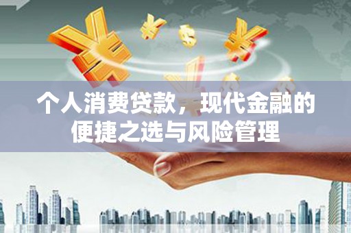 利辛个人消费贷款，现代金融的便捷之选与风险管理