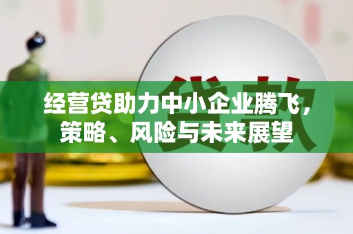 利辛经营贷助力中小企业腾飞，策略、风险与未来展望