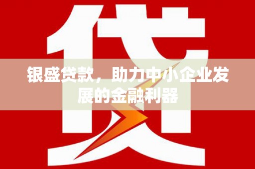 利辛银盛贷款，助力中小企业发展的金融利器