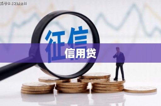 利辛信用贷