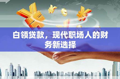利辛白领贷款，现代职场人的财务新选择