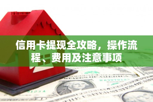 利辛信用卡提现全攻略，操作流程、费用及注意事项