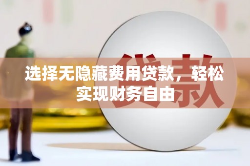 利辛选择无隐藏费用贷款，轻松实现财务自由