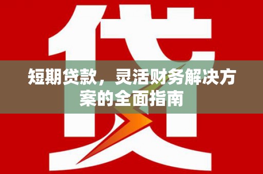利辛短期贷款，灵活财务解决方案的全面指南