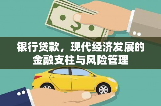 利辛银行贷款，现代经济发展的金融支柱与风险管理