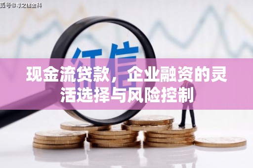 利辛现金流贷款，企业融资的灵活选择与风险控制