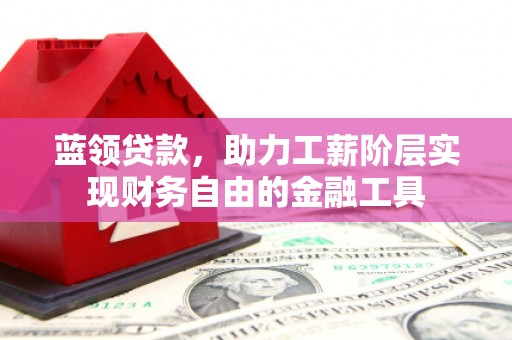 利辛蓝领贷款，助力工薪阶层实现财务自由的金融工具