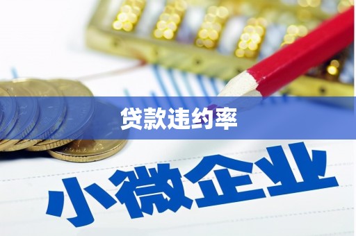 利辛贷款违约率
