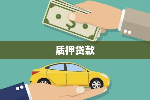 利辛质押贷款