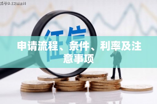 利辛申请流程、条件、利率及注意事项