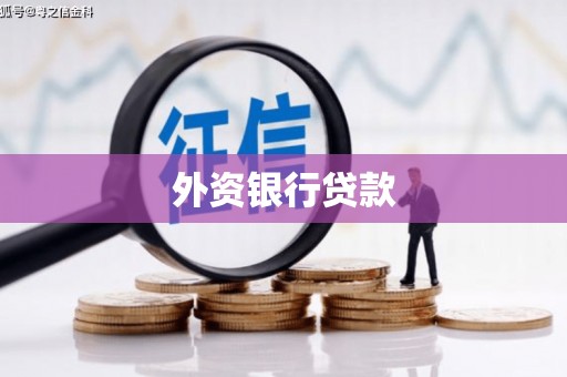 利辛外资银行贷款