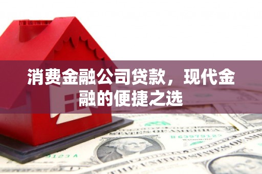 利辛消费金融公司贷款，现代金融的便捷之选