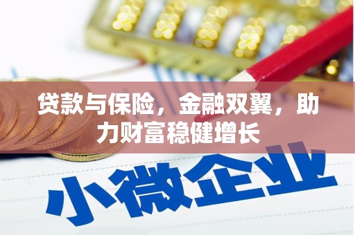 利辛贷款与保险，金融双翼，助力财富稳健增长