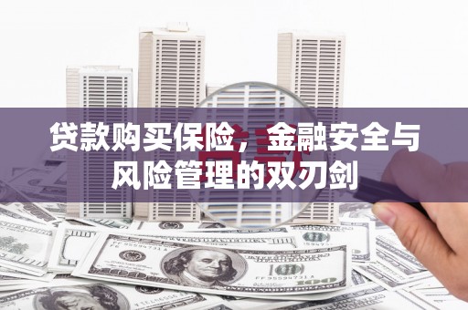 利辛贷款购买保险，金融安全与风险管理的双刃剑