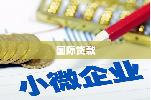 利辛国际贷款