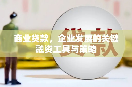 利辛商业贷款，企业发展的关键融资工具与策略