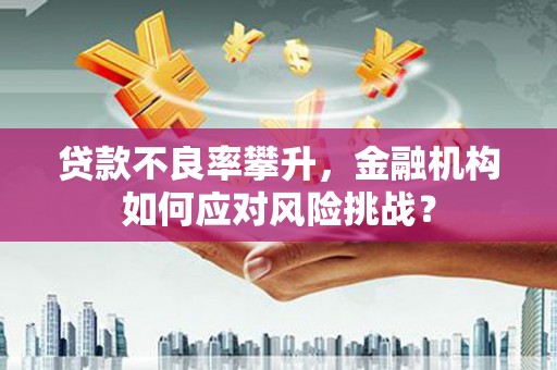 利辛贷款不良率攀升，金融机构如何应对风险挑战？