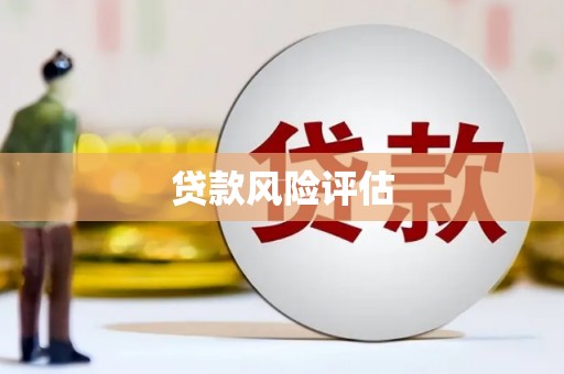利辛贷款风险评估