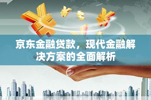 利辛京东金融贷款，现代金融解决方案的全面解析